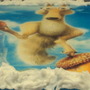 Dsc00884